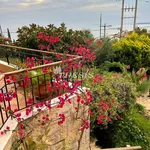 Exceptional detached house for rent in Agia Marina