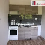 Rent 1 bedroom apartment of 36 m² in Ústí nad Labem