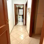 Rent 3 bedroom apartment of 65 m² in Roma