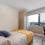 Rent 1 bedroom apartment in Portsmouth