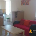 Rent 1 bedroom apartment in Bédarieux