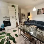 Rent 2 bedroom apartment of 58 m² in Torino