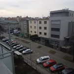 Pronajměte si 1 ložnic/e byt o rozloze 45 m² v Brno