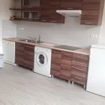 Rent 1 bedroom apartment of 50 m² in Prague