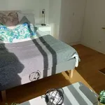 Rent 1 bedroom apartment of 40 m² in lisbon