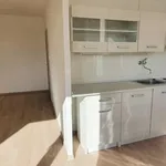 Rent 1 bedroom apartment in Beroun