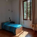 Rent 3 bedroom apartment of 70 m² in Bologna