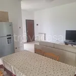 Rent 3 bedroom apartment of 74 m² in Zagarolo