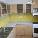 Rent 2 bedroom apartment in Sokolov