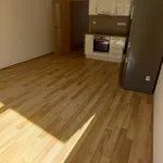 Rent 2 bedroom apartment in Brno