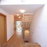 Rent 1 bedroom house of 350 m² in Prague