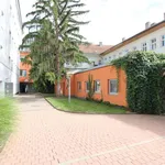 Rent 1 bedroom apartment of 10 m² in Brno