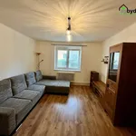 Rent 2 bedroom apartment of 50 m² in Plzeň