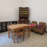 Rent 2 bedroom apartment of 45 m² in Pavia