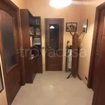 Rent 2 bedroom apartment of 60 m² in Torino