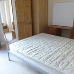 Rent 3 bedroom house in Norwich