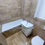 Rent 1 bedroom apartment in Ciurea