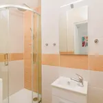 Rent 1 bedroom apartment in Prague