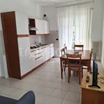 Rent 2 bedroom apartment of 45 m² in Torino