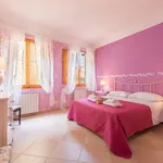 Rent 1 bedroom apartment in Florence