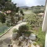 Rent 2 bedroom apartment of 60 m² in Spotorno