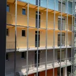 Rent 2 bedroom apartment of 45 m² in Turin