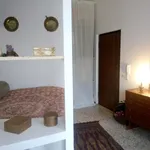 Rent 1 bedroom apartment in Milan