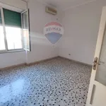 Rent 3 bedroom apartment of 70 m² in Pompei