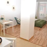 Studio o rozloze 45 m² v Brno