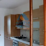 Rent 4 bedroom apartment of 80 m² in Cerreto Guidi