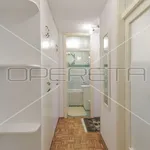 Rent 1 bedroom apartment of 62 m² in Zagreb