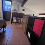 Rent 2 bedroom apartment in Firenze