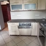 Rent 1 bedroom apartment of 35 m² in Zabrze