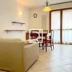 Rent 2 bedroom apartment of 55 m² in Forlì