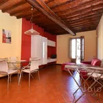 Rent 2 bedroom apartment of 60 m² in Pistoia