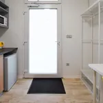 Rent 1 bedroom apartment in Brno