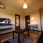 Rent 1 bedroom apartment in porto