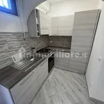 Rent 3 bedroom apartment of 45 m² in Pisa