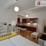 Rent 1 bedroom apartment in Capital City of Prague