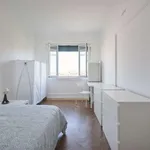 Rent a room in lisbon