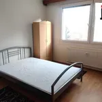 Rent 1 bedroom apartment in Plzeň