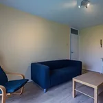 Rent 1 bedroom apartment in Wales