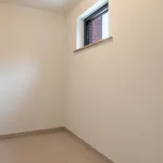 Rent 1 bedroom apartment in Zwijndrecht