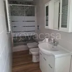 Rent 2 bedroom apartment of 70 m² in Bologna