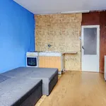 Rent 1 bedroom apartment in Sokolov