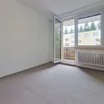 Rent 3 bedroom apartment of 1 m² in Brno