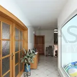 Rent 5 bedroom house of 300 m² in Prague