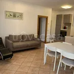 Rent 3 bedroom apartment of 80 m² in Riccione