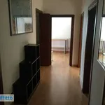 Rent 3 bedroom apartment of 85 m² in Rome