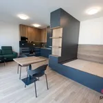 Pronajměte si 1 ložnic/e byt o rozloze 45 m² v Prague